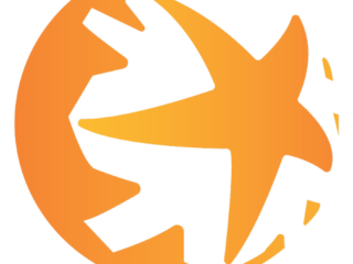 Logo_MCISE_favicon-removebg-preview