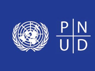 pnud